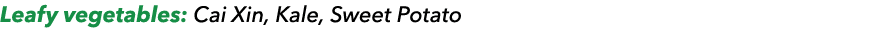 Leafy vegetables: Cai Xin, Kale, Sweet Potato 
