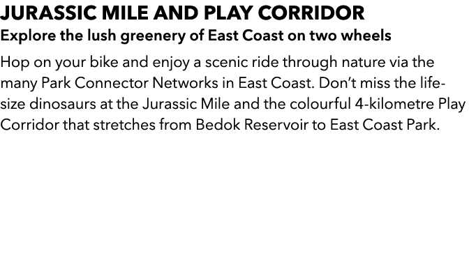 JURASSIC MILE AND PLAY CORRIDOR Explore the lush greenery of East Coast on two wheels Hop on your bike and enjoy a sc...