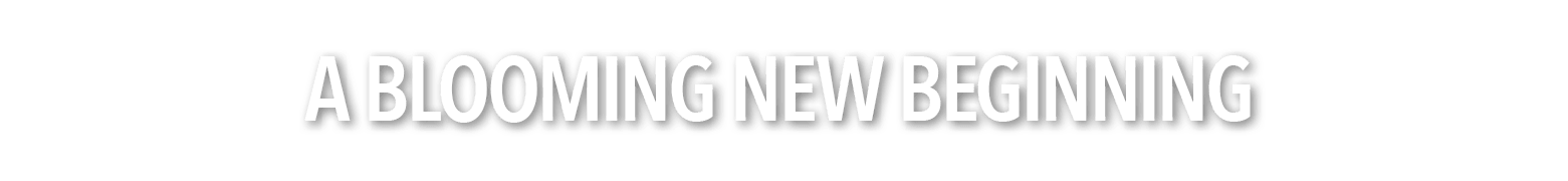 A Blooming New Beginning