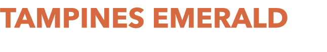 TAMPINES EMERALD