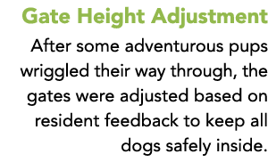 Gate Height Adjustment After some adventurous pups wriggled their way through, the gates were adjusted based on resid...