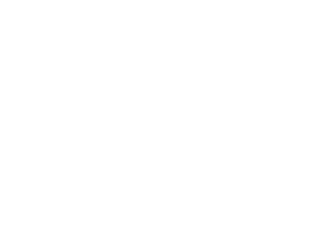 9 COVERED LINKWAYS Providing Seamless Shelters Over 600M.
